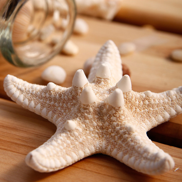 European and American foreign trade AliExpress wish explosion hair accessories Beach beach handmade natural starfish hairpin duck bill clip