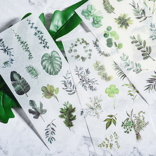 Animal Flower fresh and paper stickers hand account stickers DIY album material 24 choices