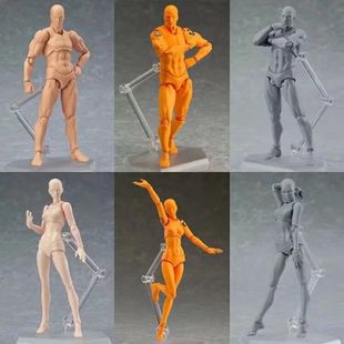 Body 2.0 painting props male female youth version skin color movable hand-made model