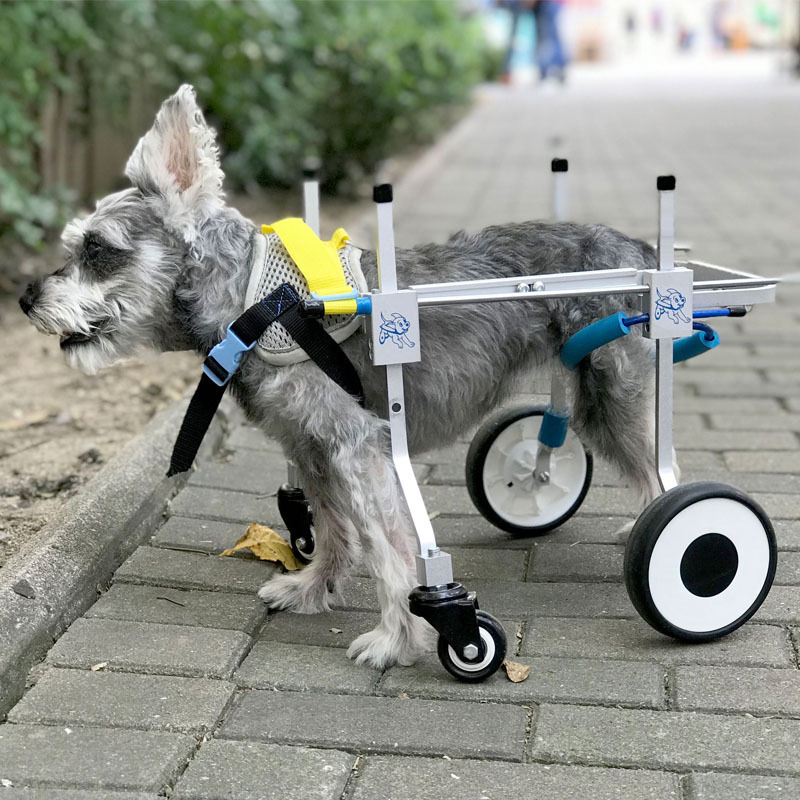 犬車椅子ペット後部脚損傷障害麻痺サポートブレース補助回復運動交換車両|undefined