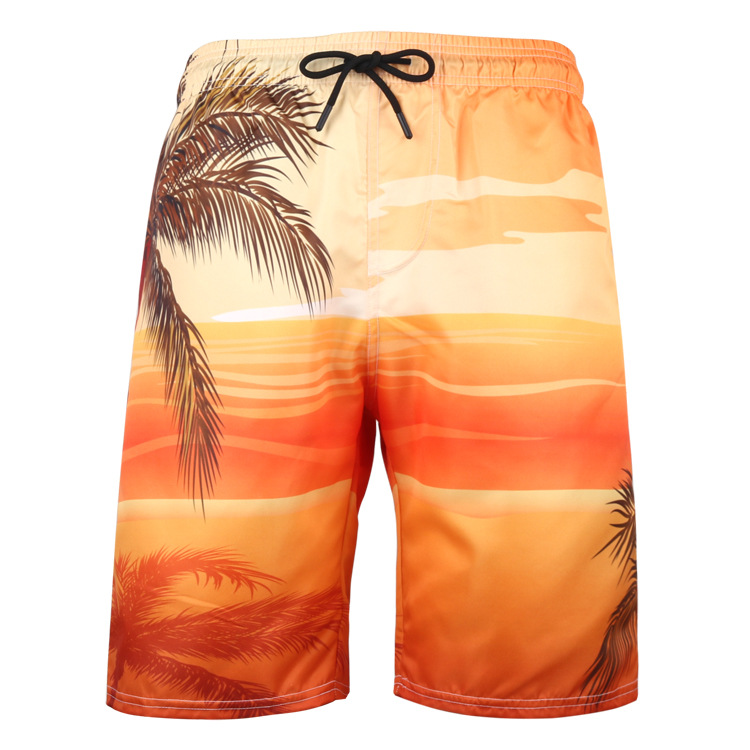 2023 Summer New Amazon Men's Quick-drying Beach Pants Large Size Printed Shorts European and American Summer Sports Pants
