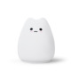 Cute Cat