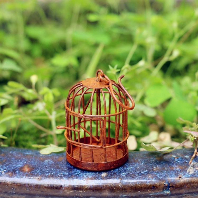 アイアンアート素朴な鳥かご多肉植物の飾り庭中庭バスケットマイクロ風景中空レース装飾家の装飾|undefined