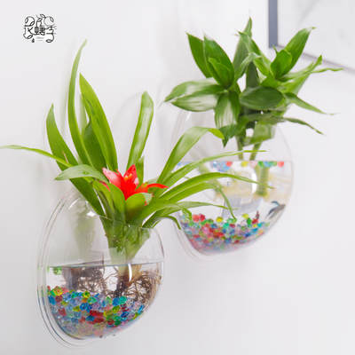 Wall hanging fish tank wall hanging vase flower pot acrylic creative wall goldfish tank a generation of hair