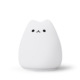 Popular Cat