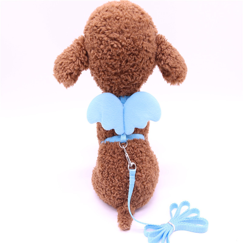Pet supplies factory new pet traction belt I-shaped Angel chest back wings traction rope dog chain