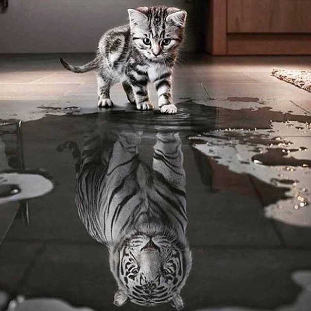 New Diamond Painting Animal Series Xiaohua Mall Sticking Diamond Cross Stitch Decorative Painting Full Diamond AliExpress