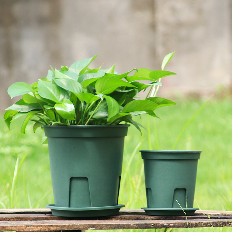 Domestic Round Castle Peak Pot Root Control Flower Pot Plastic Breathable Gallon Pot Rose Clematis Flower Pot Can Match with Pot