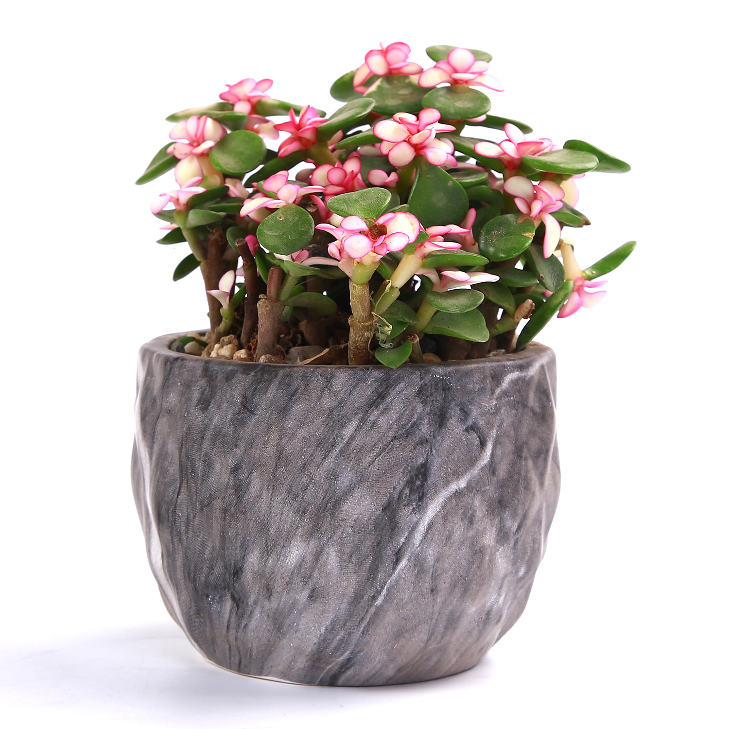 Artificial Stone succulent flowerpot New Era succulent flowerpot cross-border Amazon water transfer printing flowerpot