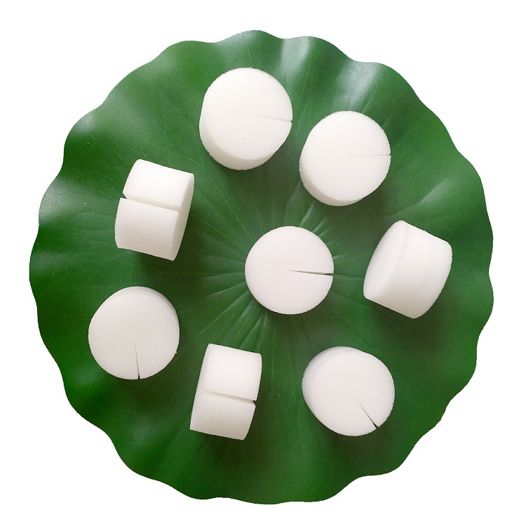 No. 50 soilless cultivation vegetable equipment hydroponic cultivation Mianyang Taiwan vegetable fixed sponge