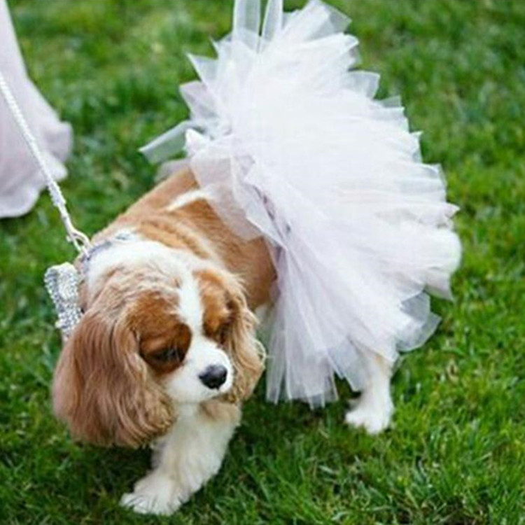 Pet Dog Clothes Halloween Pet Skirt Foreign Trade Products Solid Color Net Tutu Dress Cat Clothing