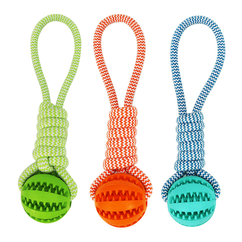 Pet supplies Amazon explosions dog toys leak ball manufacturers wholesale TPR molars bite-resistant cleaning rubber ball