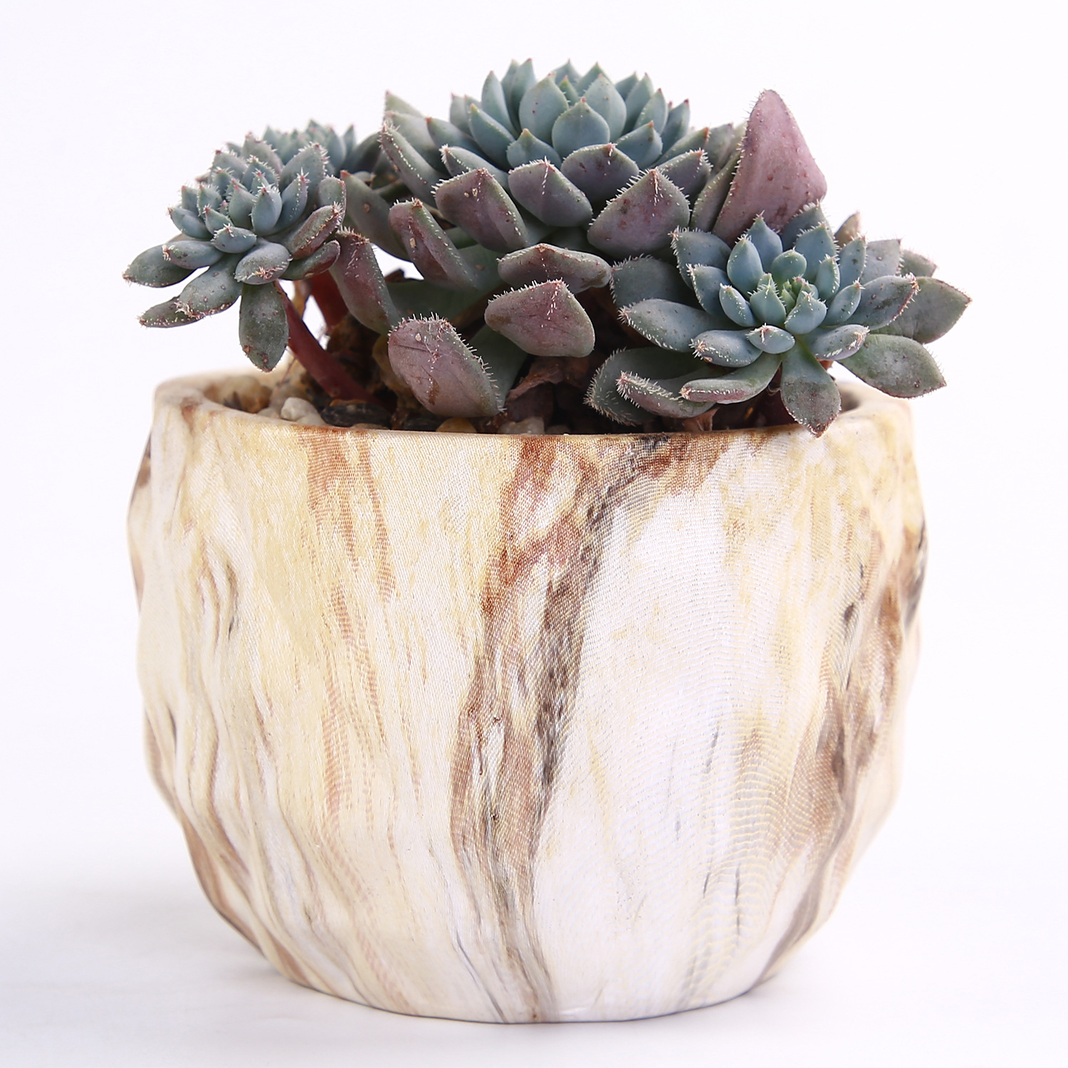 Artificial Stone succulent flowerpot New Era succulent flowerpot cross-border Amazon water transfer printing flowerpot