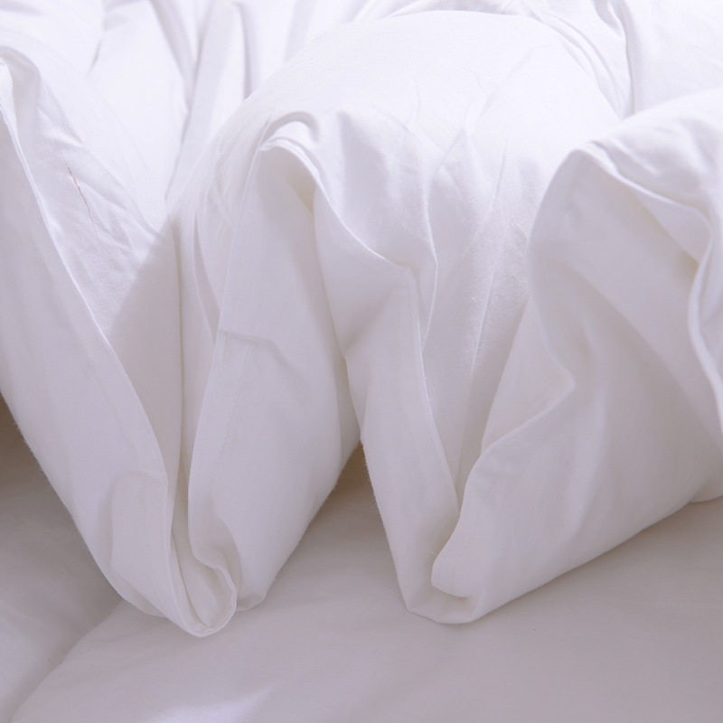 Homestay hotel quilt feather velvet winter quilt simple white thick epidemic prevention isolation quilt spring and summer quilt core wholesale
