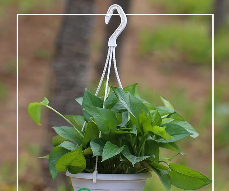 Wholesale round plastic broccoli flower pot factory direct high quality plastic broccoli basin hook hook