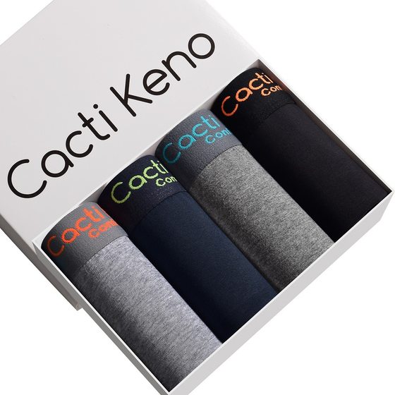 Men's underwear cotton breathable mid-waist boxers new large size Boys boxed shorts head manufacturers wholesale