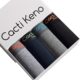 Men's underwear cotton breathable mid-waist boxers new large size Boys boxed shorts head manufacturers wholesale