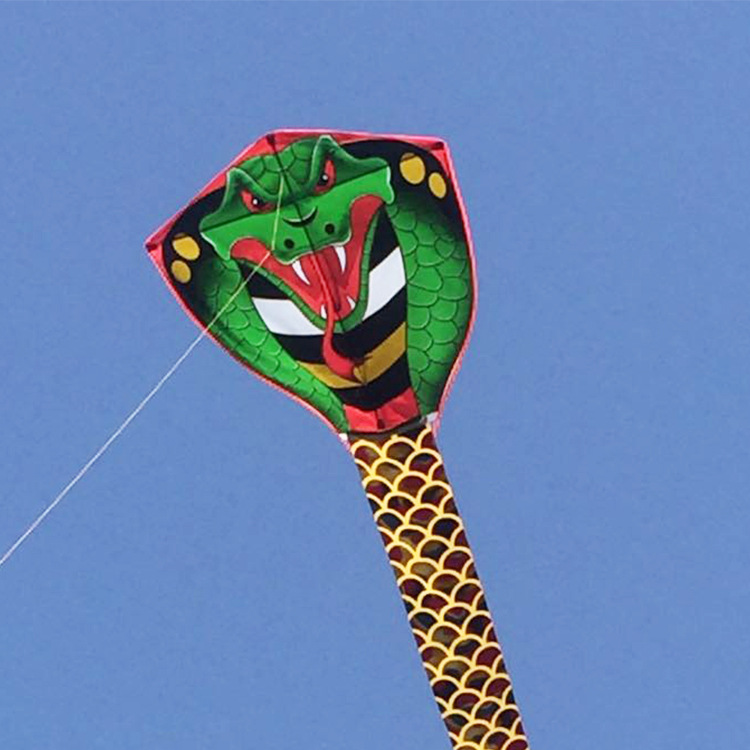 Weifang Kite Bronzing Long Snake Kite Handmade Wholesale Animal Kite Adult Children Easy to Fly Long Snake Kite