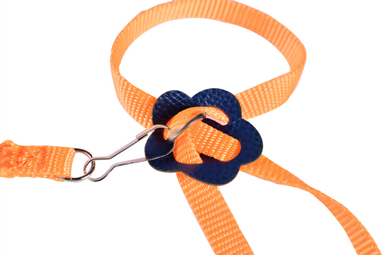 Cross-border New Parrot Bird Hamster Turtle Lizard Leash Walking Rope 8-shaped Strap Bird Parrot Leash