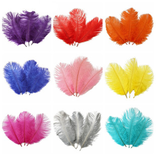 Factory supply imported white ostrich feather 20-25cm size wedding performance ostrich feather feather jewelry feather