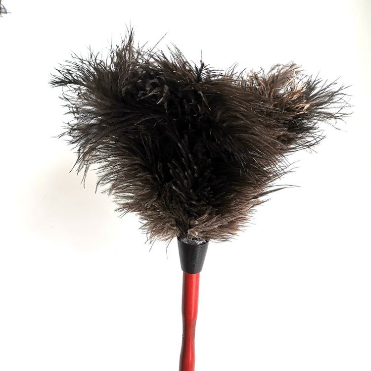 Manufacturers wholesale and retail duster desktop household brush feather sweep ostrich feather duster