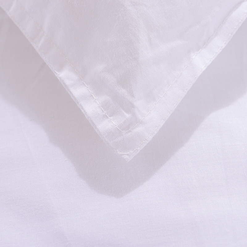 Homestay hotel quilt feather velvet winter quilt simple white thick epidemic prevention isolation quilt spring and summer quilt core wholesale