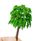 Mini Simulation Willow Model Finished Plastic Scene Model Tree Building Sand Table diy Handmade Micro Landscape Material