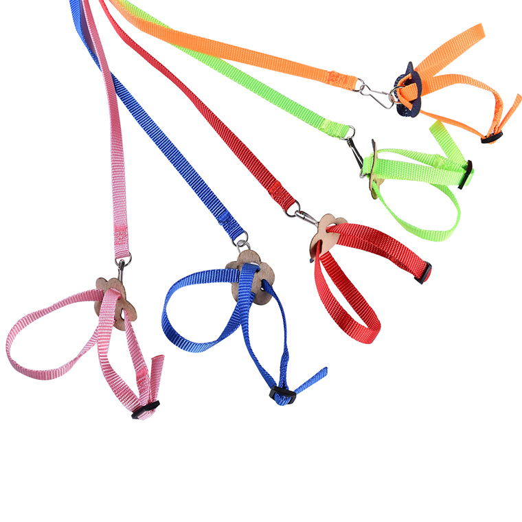 Cross-border New Parrot Bird Hamster Turtle Lizard Leash Walking Rope 8-shaped Strap Bird Parrot Leash