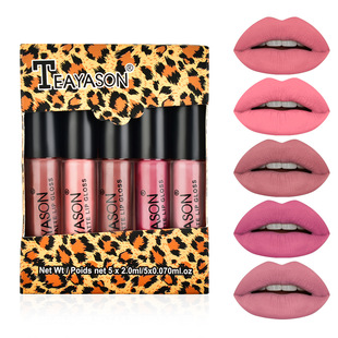 Cross-border matte matte lip glaze five mini set box lip gloss lipstick is not easy to touch the Cup nude pumpkin color