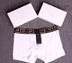 Chao brand head tag underwear men's cotton boxer boxer underwear foreign trade explosions a generation of hair