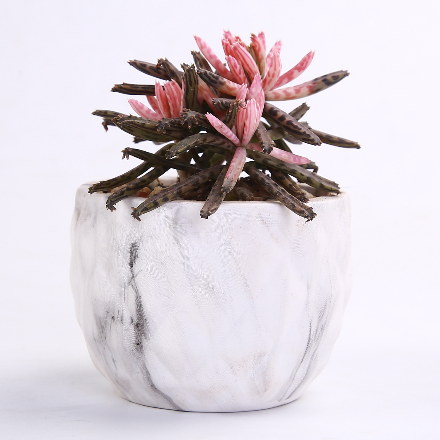 Artificial Stone succulent flowerpot New Era succulent flowerpot cross-border Amazon water transfer printing flowerpot