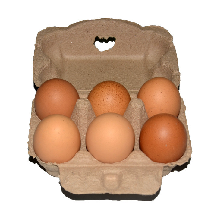 6 Natural Color Wide Cover Egg Holder Egg Box Pulp Egg Holder Earth Egg Packaging Box Handmade Creative