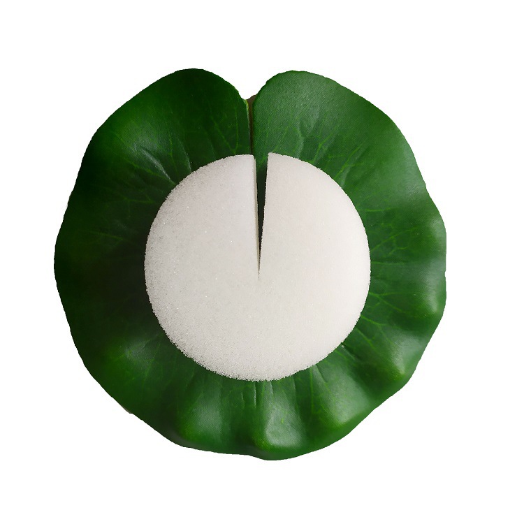 No. 50 soilless cultivation vegetable equipment hydroponic cultivation Mianyang Taiwan vegetable fixed sponge