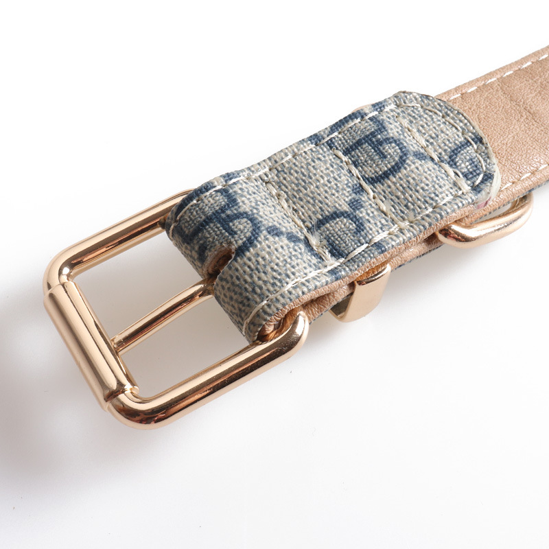 Aminger large pai collar presbyopic cloth pet dog collar with traction rope factory direct sales