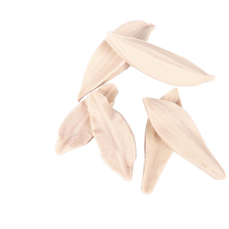 Silicone Mold Lily Flower Petal Leaf Fold Sugar Mold Texture Printing Cake Mold DIY pastry baking
