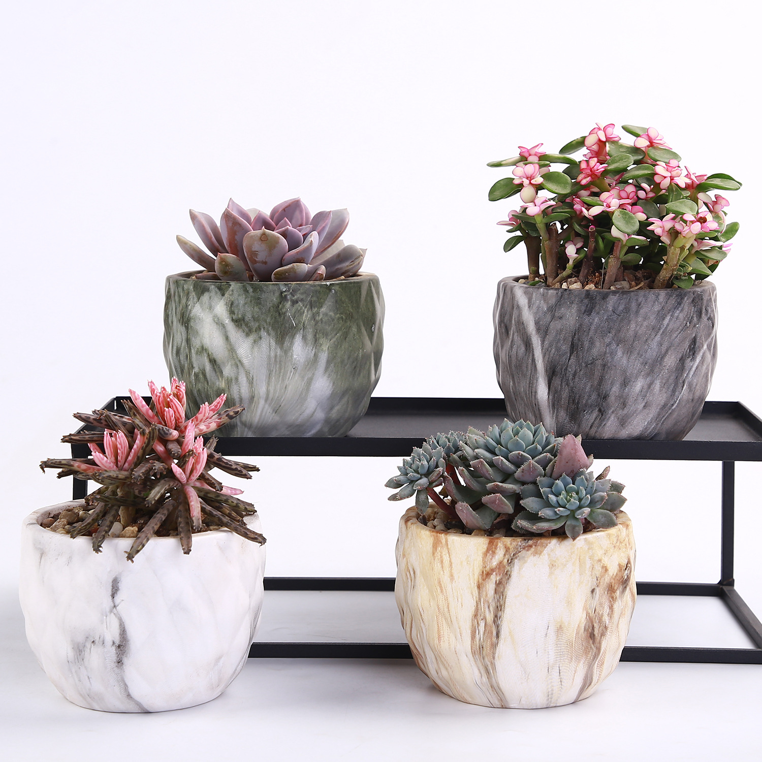 Artificial Stone succulent flowerpot New Era succulent flowerpot cross-border Amazon water transfer printing flowerpot