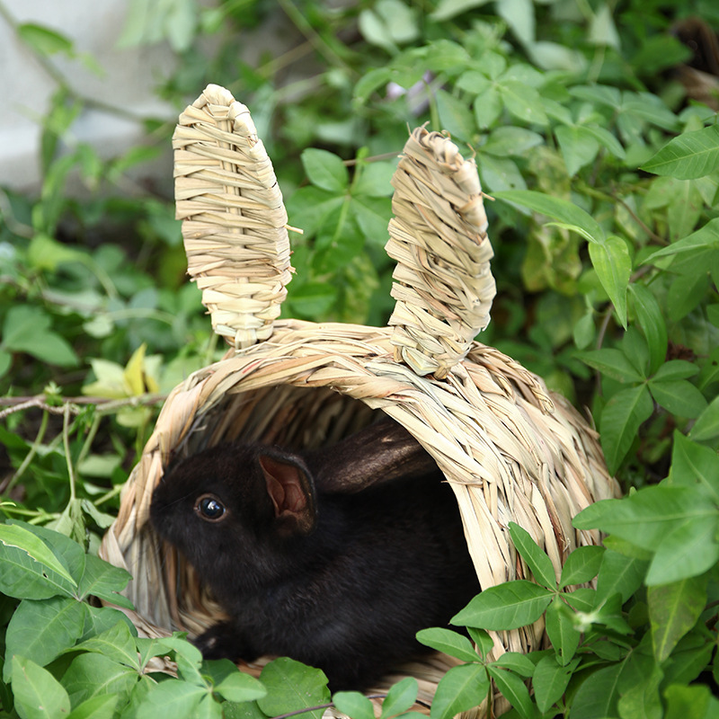 チンチラの巣箱ハムスターのような小動物に適したウサギのチンチラ耐久性のある木製構造|undefined