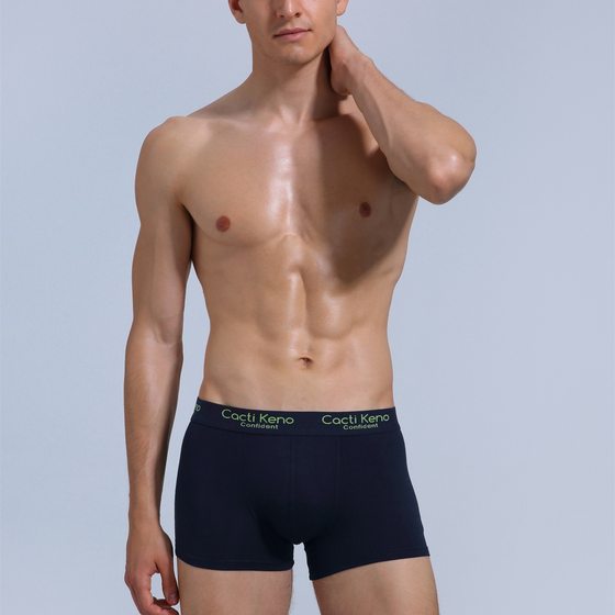 Men's underwear cotton breathable mid-waist boxers new large size Boys boxed shorts head manufacturers wholesale
