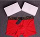 Chao brand head tag underwear men's cotton boxer boxer underwear foreign trade explosions a generation of hair