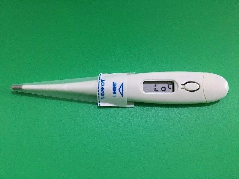 使い捨て薄膜保護カバー電子温度計口腔直腸ペット水銀温度計病院用品|undefined