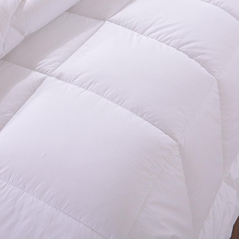 Homestay hotel quilt feather velvet winter quilt simple white thick epidemic prevention isolation quilt spring and summer quilt core wholesale