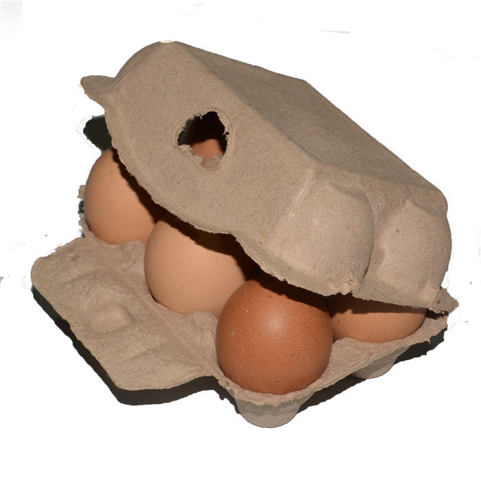 6 Natural Color Wide Cover Egg Holder Egg Box Pulp Egg Holder Earth Egg Packaging Box Handmade Creative