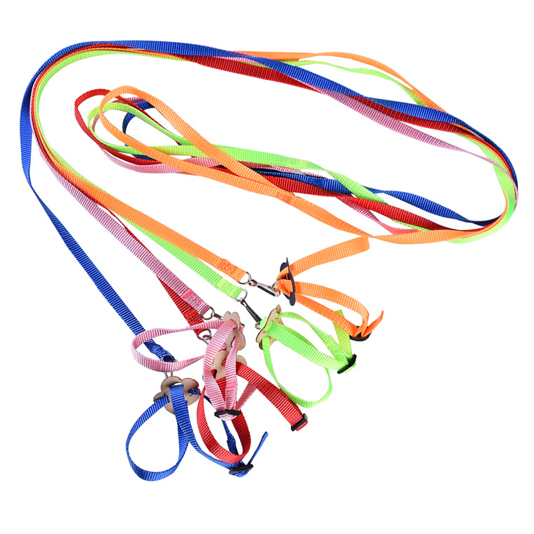 Cross-border New Parrot Bird Hamster Turtle Lizard Leash Walking Rope 8-shaped Strap Bird Parrot Leash