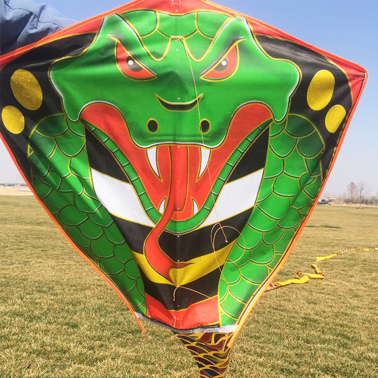 Weifang Kite Bronzing Long Snake Kite Handmade Wholesale Animal Kite Adult Children Easy to Fly Long Snake Kite