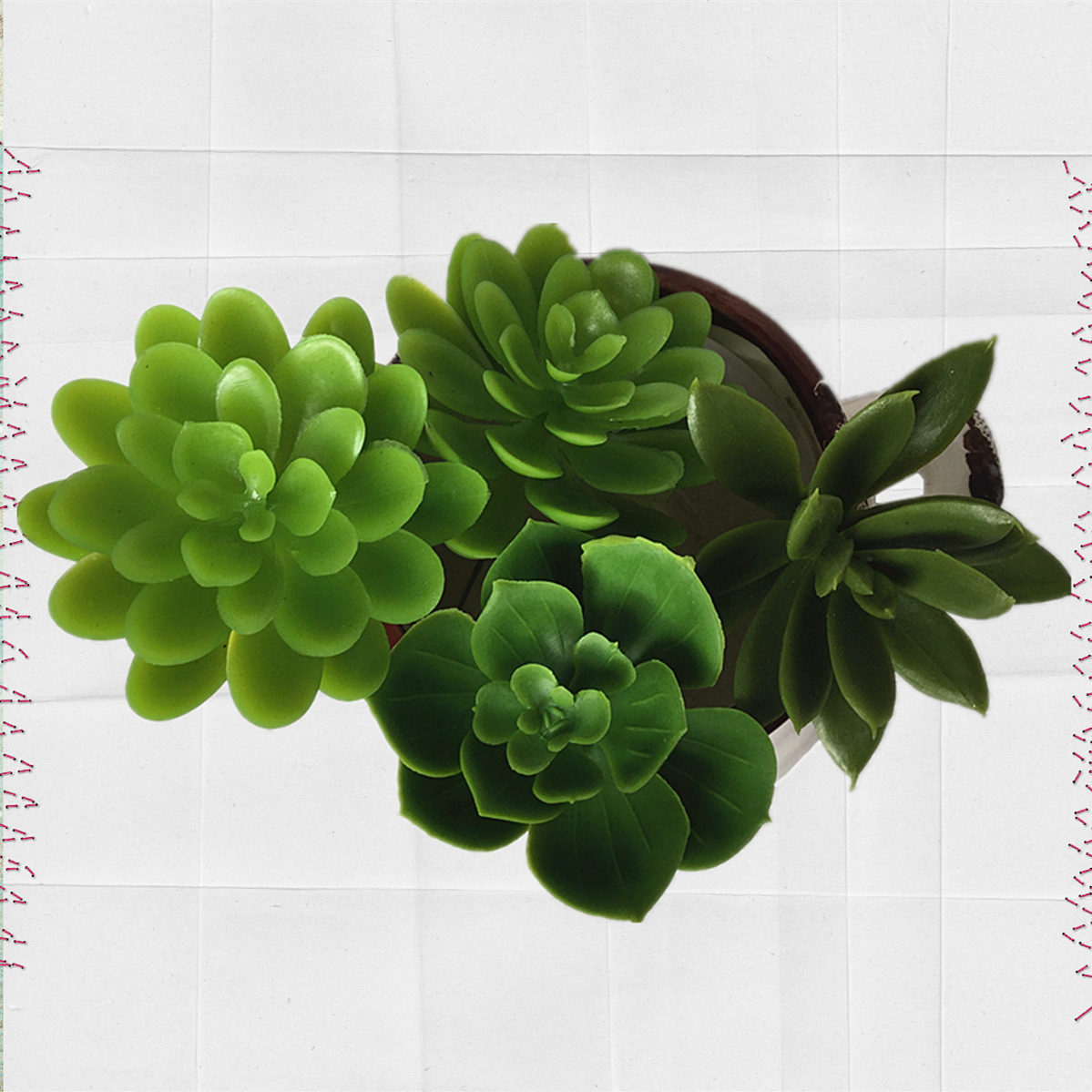 Factory simulation Saussurea involucrata fleshy plant indoor plant wall background fake flower wedding bonsai with flower micro landscape decoration