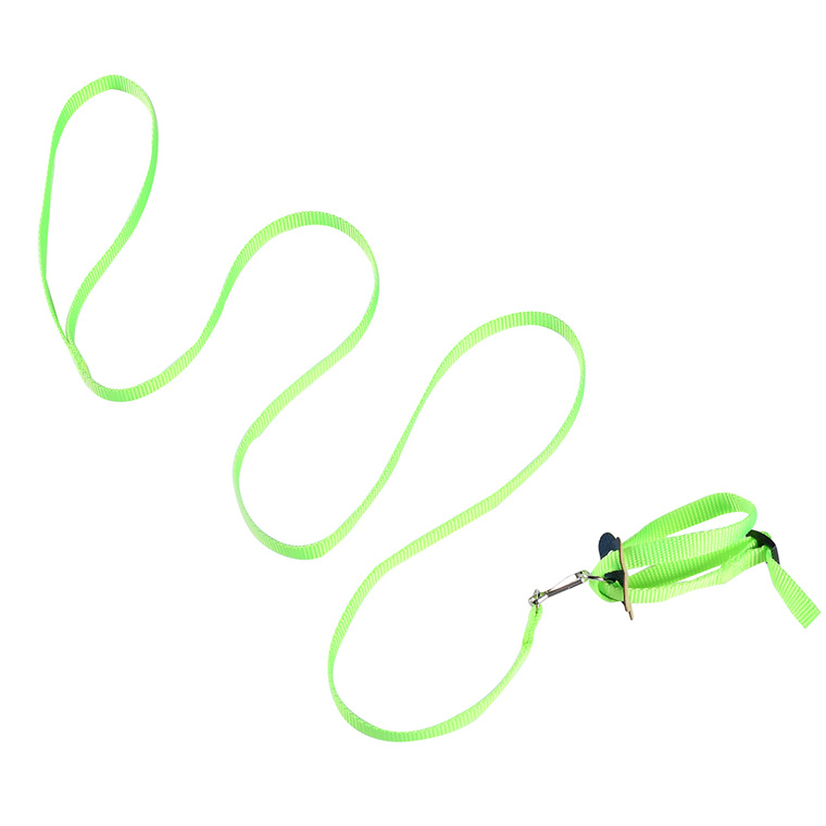 Cross-border New Parrot Bird Hamster Turtle Lizard Leash Walking Rope 8-shaped Strap Bird Parrot Leash