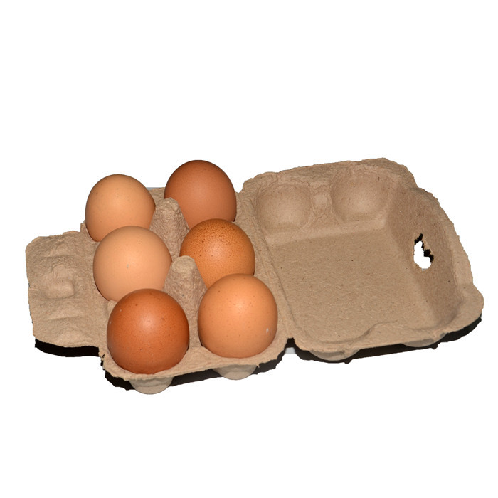 6 Natural Color Wide Cover Egg Holder Egg Box Pulp Egg Holder Earth Egg Packaging Box Handmade Creative
