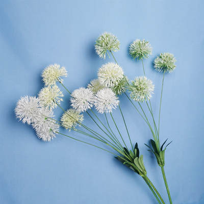 Simulated 5 Scallion Flower Plastic Dandelion Fake Flower Living Room Decoration Flower Arrange Mori Wedding Road Simulated Flower