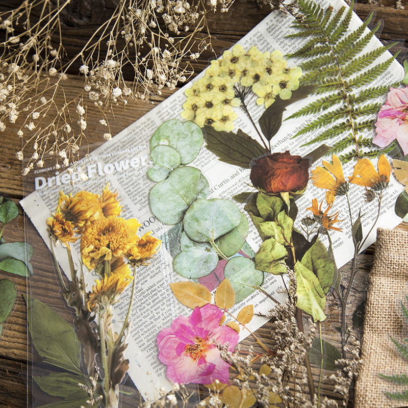 Mo jing weekend flower shop series PET stickers plant account diary DIY material stickers 6 into 8