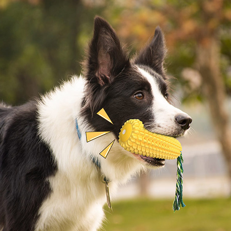 トウモロコシの音を作る犬のおもちゃ耐久性のある咀嚼歯スティック犬使用歯科クリーニングボール退屈緩和小さなティーザー|undefined